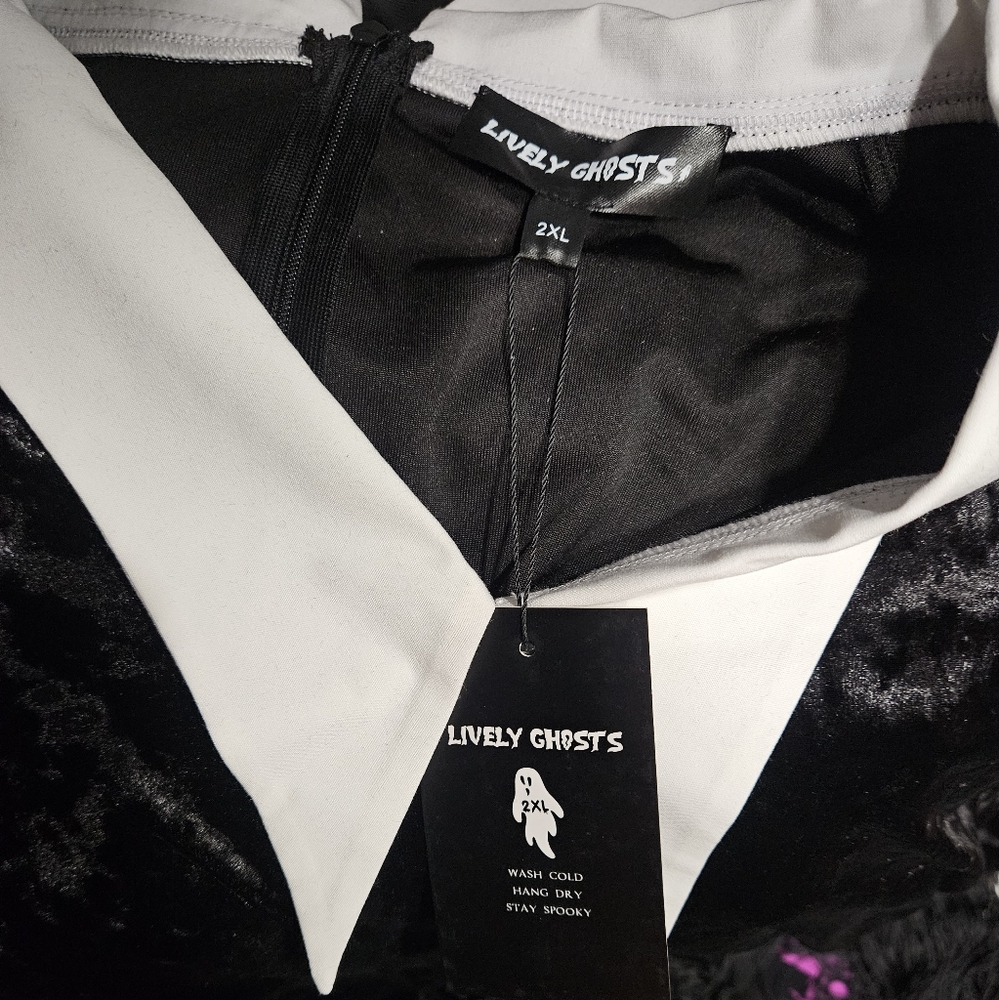 Lively Ghosts Black Velvet Seven Wonders Dress - Picture 2 of 4